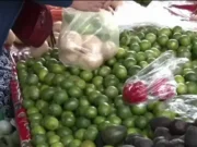 Limoneros de Michoacán, en paro por extorsiones de 3 grupos criminales