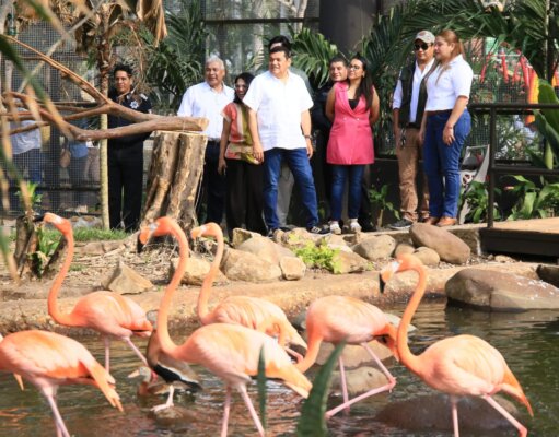 Rehabilitan aviario del Yumka’