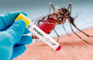 Disminuye dengue hasta un 79% en Tabasco