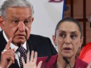 El pato mayor