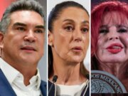 Ley vs Alito, inconstitucional