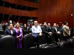 PRI rechaza estar detrás de la marcha de la Generación Z