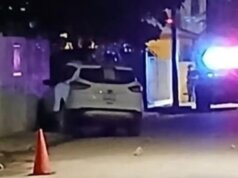 Ejecutan a regidora de Morena de Palizada, Campeche