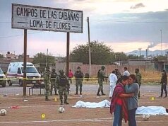 Video muestra horror de la masacre en Salamanca