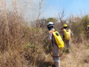 Protección Civil activa Semáforo de Incendios ante temporada de estiaje
