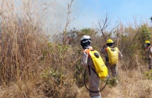 Protección Civil activa Semáforo de Incendios ante temporada de estiaje