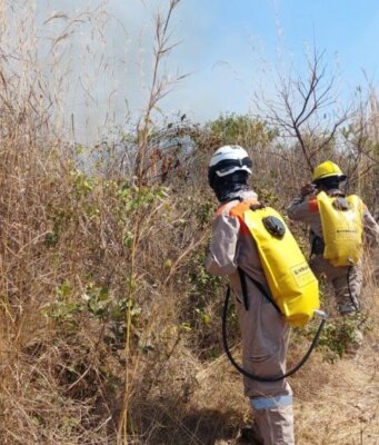 Protección Civil activa Semáforo de Incendios ante temporada de estiaje