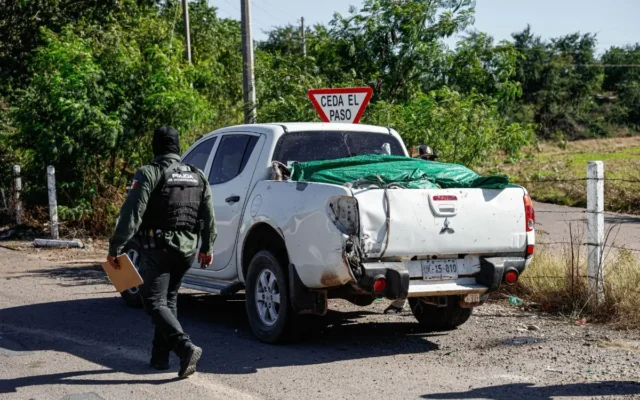 autoridades-investigan-el-hallazgo-de-cuerpos-con-