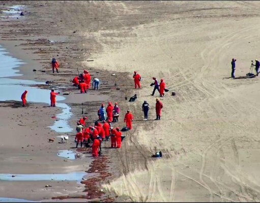 Concluye contención de hidrocarburos en el mar y avanza en limpieza de playas del Golfo de México
