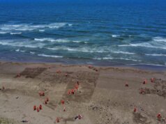 Recolectan 128 toneladas de hidrocarburo derramado en costas de Veracruz y Tabasco