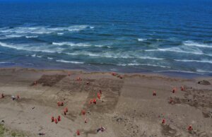 Recolectan 128 toneladas de hidrocarburo derramado en costas de Veracruz y Tabasco