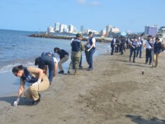 Despliegan más de 2 mil 400 elementos para atender presencia de hidrocarburos en costas de Veracruz y Tabasco