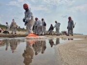 Reportan playas limpias en costas del Golfo de México