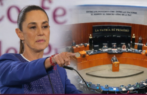 Plan B, reforma sin fondo