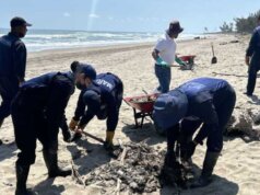 Remueven más de 3.5 toneladas de chapopote tras derrame en Veracruz