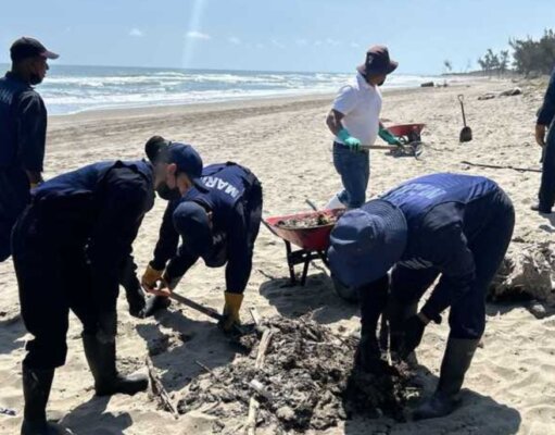 Remueven más de 3.5 toneladas de chapopote tras derrame en Veracruz