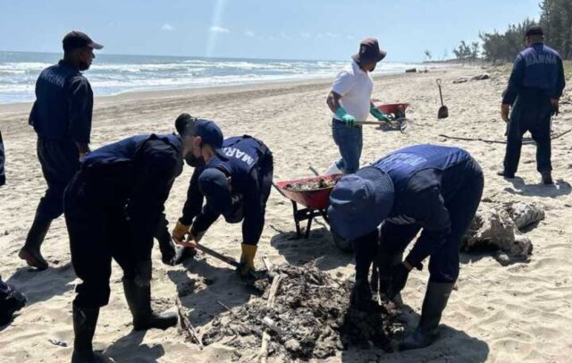 Screenshot_20260321_120323