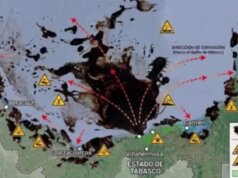 Derrame ecocida inició en febrero en Campeche