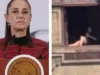 Sheinbaum admite que video de mujer asoleándose en Palacio es real