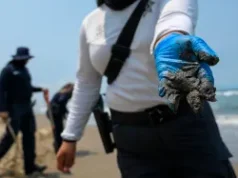 Crearán observatorio del Golfo de México