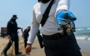 Crearan-observatorio-del-Golfo-de-Mexico-2