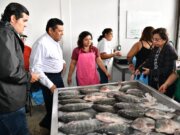 Destaca Javier May la calidad de productos de Sembrando Vida en la Central de Abasto