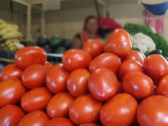 Jitomate se dispara 126% y encarece la canasta básica en México