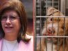 Senadora de Morena reconoce que sacrificó más de 10 mil perros cuando fue alcaldesa de Tecámac