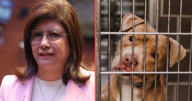 Screenshot_20260415_153021