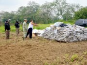 Destruyen casi una tonelada de narcóticos asegurados en operativos en Tabasco