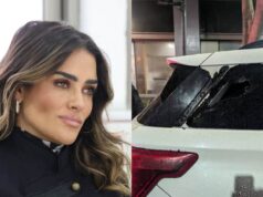 Alessandra Rojo de la Vega denuncia agresión en la Zona Rosa; culpa a gente de la morenista Diana Sánchez Barrios