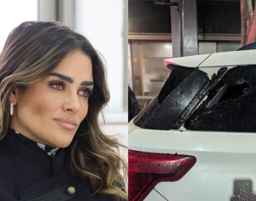 Alessandra Rojo de la Vega denuncia agresión en la Zona Rosa; culpa a gente de la morenista Diana Sánchez Barrios