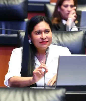 Atentarán contra AMLO, dice senadora y pide protegerlo