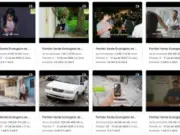 Gasta el Verde más de 3 mdp por anuncios en Google