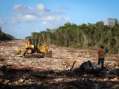 Fondos contra el cambio climático fueron para destruir ecosistemas
